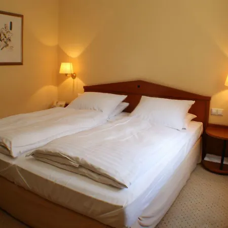 Zum Erbprinzen שווצינגן